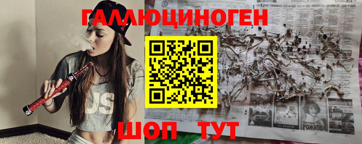 Псилоцибиновые грибы Cubensis Советская Гавань