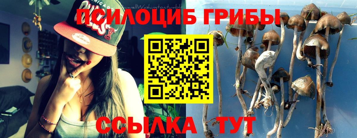 Галлюциногенные грибы мухоморы  Вход с VPN  Советская Гавань 